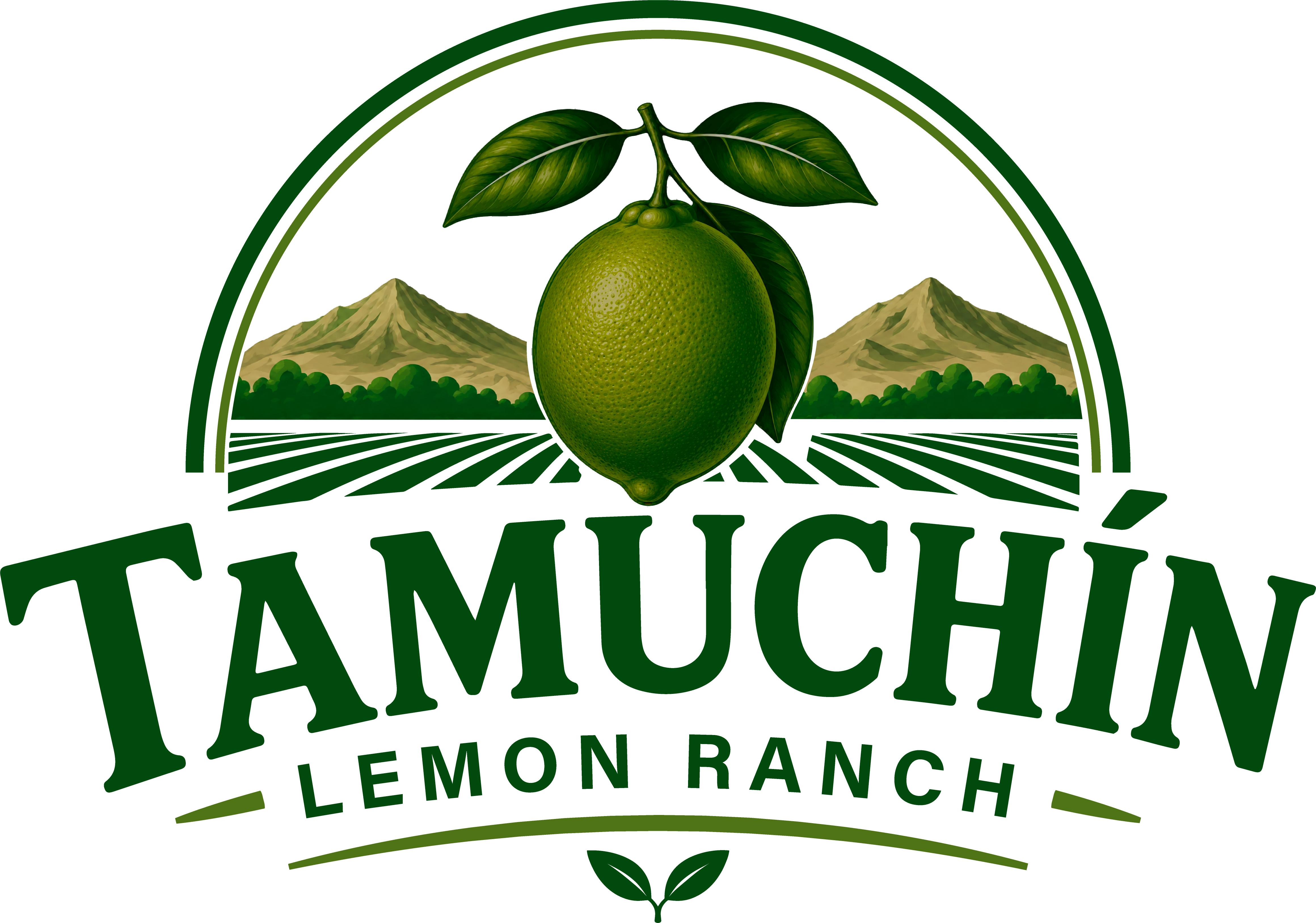 Logo Tamuchín